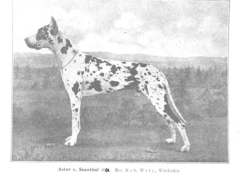 Astor v Seenthal